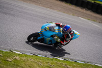 enduro-digital-images;event-digital-images;eventdigitalimages;lydden-hill;lydden-no-limits-trackday;lydden-photographs;lydden-trackday-photographs;no-limits-trackdays;peter-wileman-photography;racing-digital-images;trackday-digital-images;trackday-photos